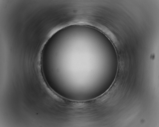 X0000103401382200809121232