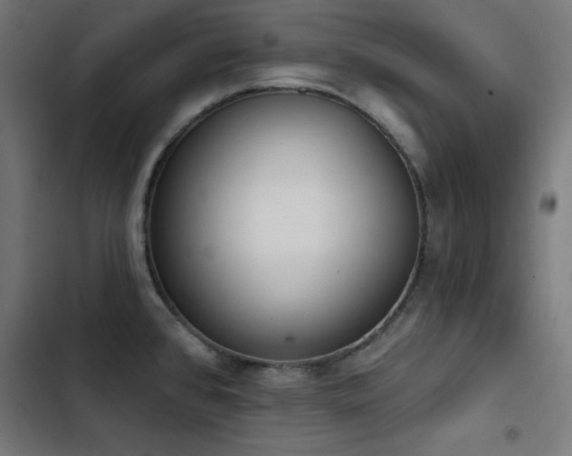 X0000103401384200809121232