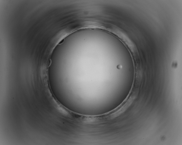 X0000103401385200809121232