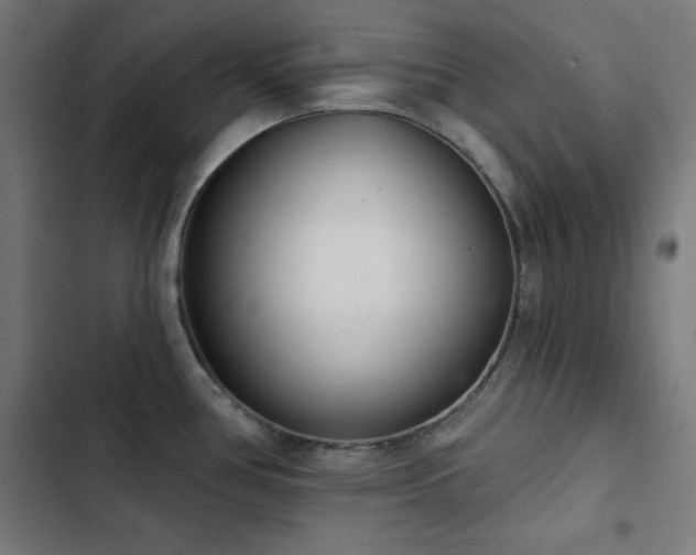 X0000103401386200809121232