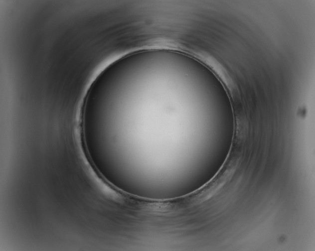 X0000103401387200809121232