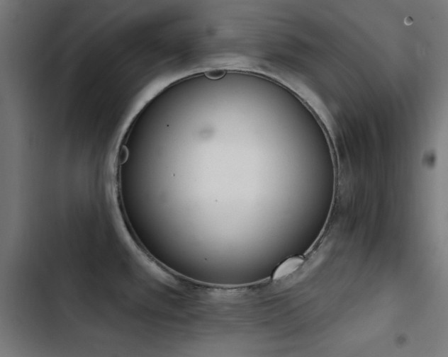 X0000103401389200809121232