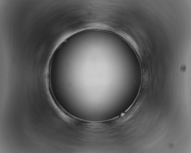 X0000103401391200809121232