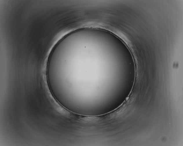 X0000103401392200809121232