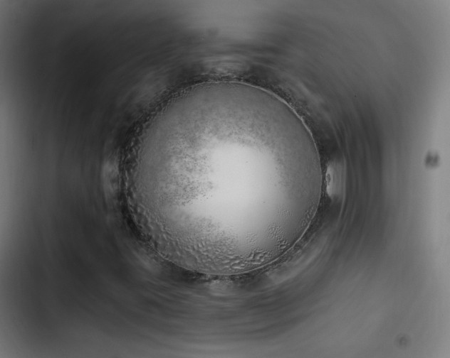X0000103401395200809121231