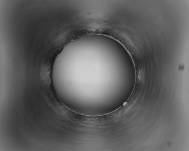 X0000103401396200809121231