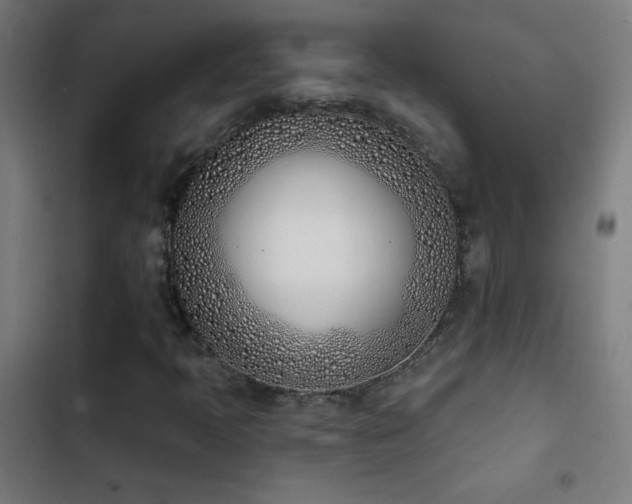 X0000103401397200809121231