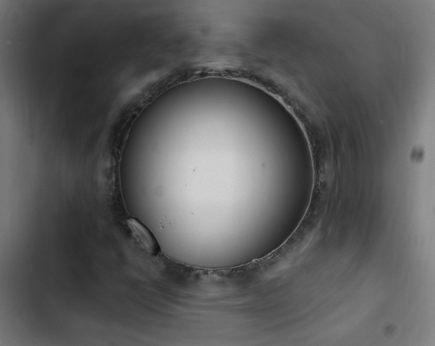 X0000103401398200809121231