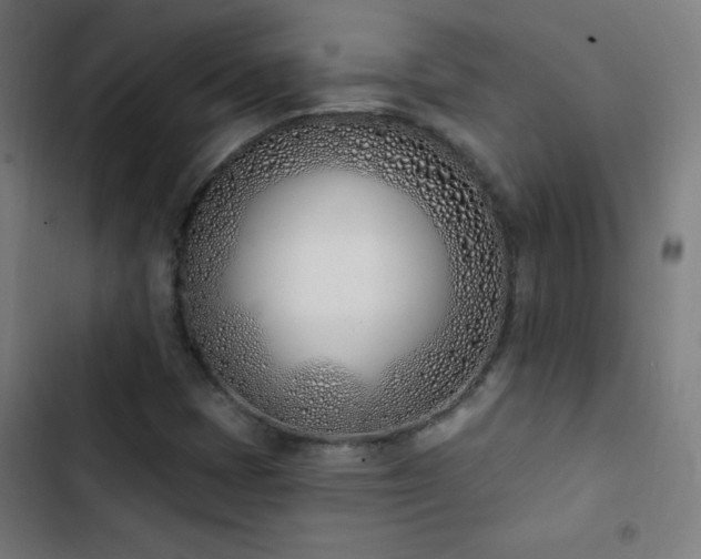 X0000103401401200809121231
