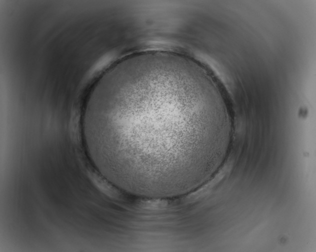 X0000103401403200809121231