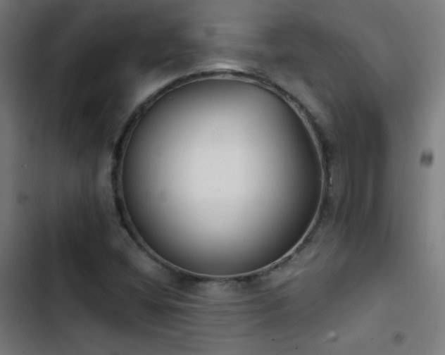 X0000103401404200809121231