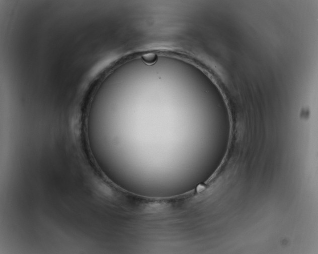 X0000103401406200809121231
