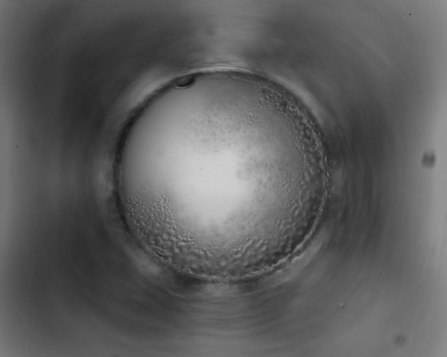 X0000103401407200809121231