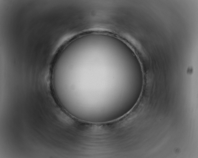 X0000103401408200809121231