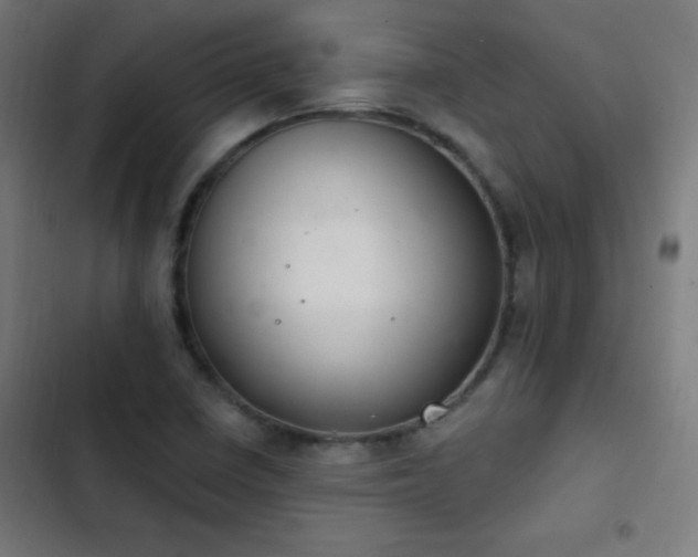 X0000103401410200809121231