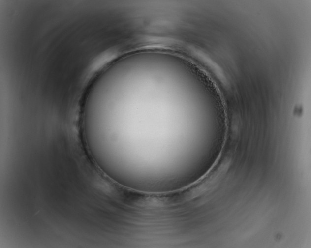 X0000103401411200809121231