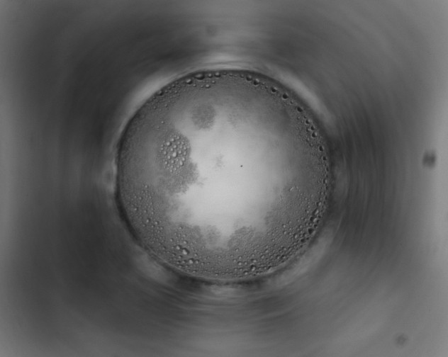 X0000103401413200809121231