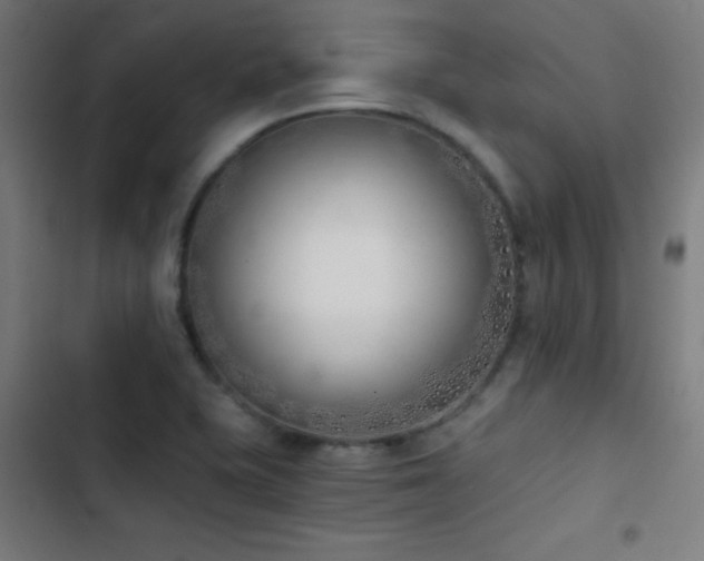 X0000103401415200809121232