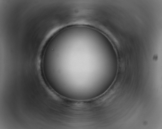 X0000103401416200809121232