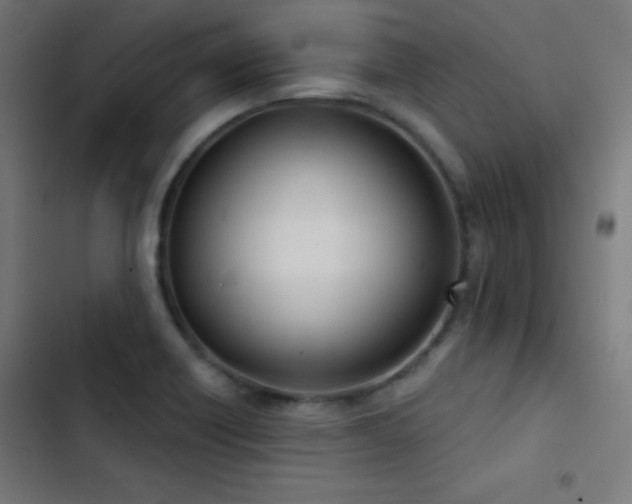 X0000103401418200809121232