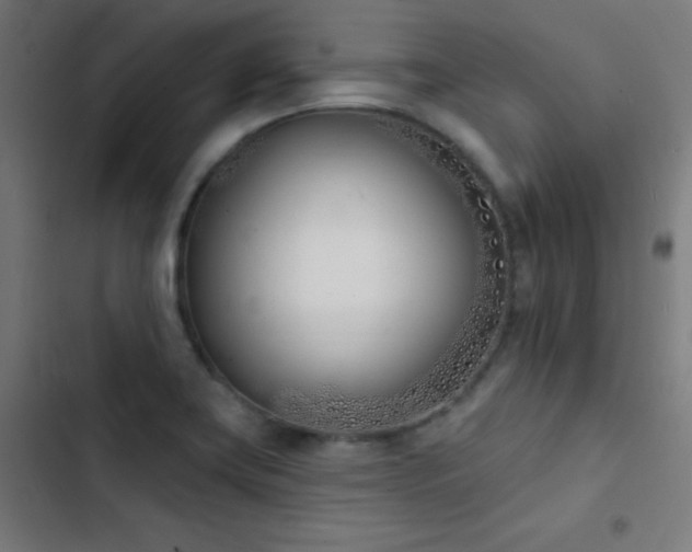X0000103401419200809121232