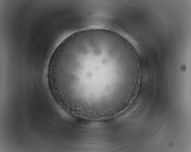 X0000103401423200809121232