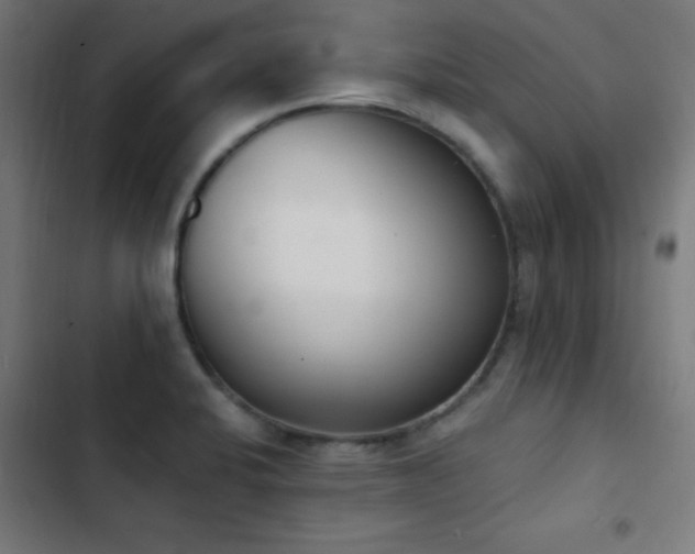 X0000103401424200809121232