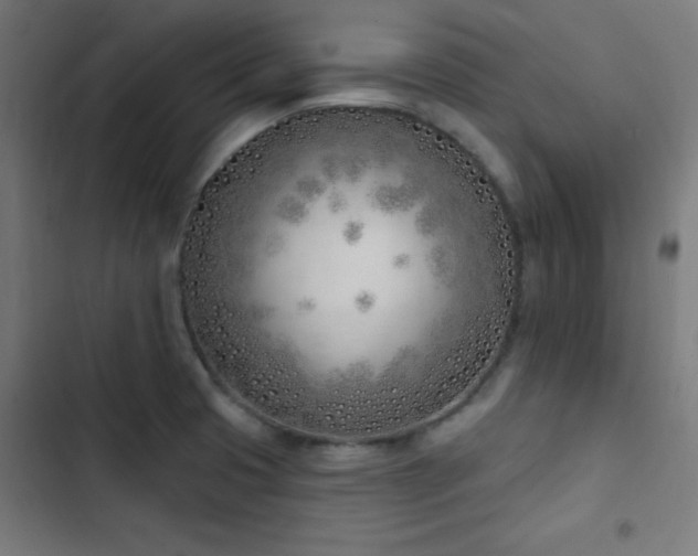 X0000103401425200809121232