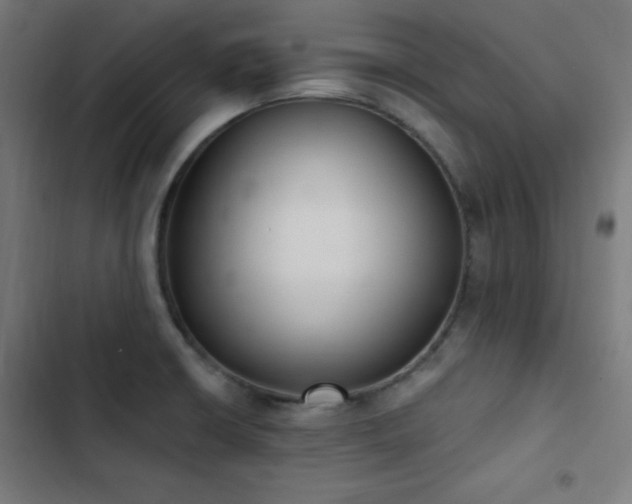 X0000103401426200809121232