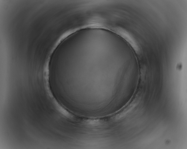 X0000103401428200809121232