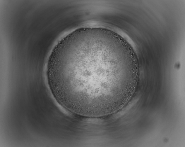 X0000103401429200809121232