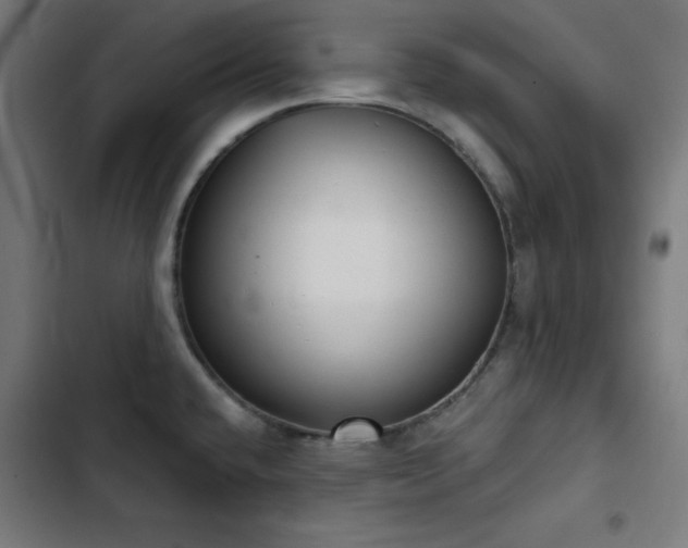 X0000103401432200809121232