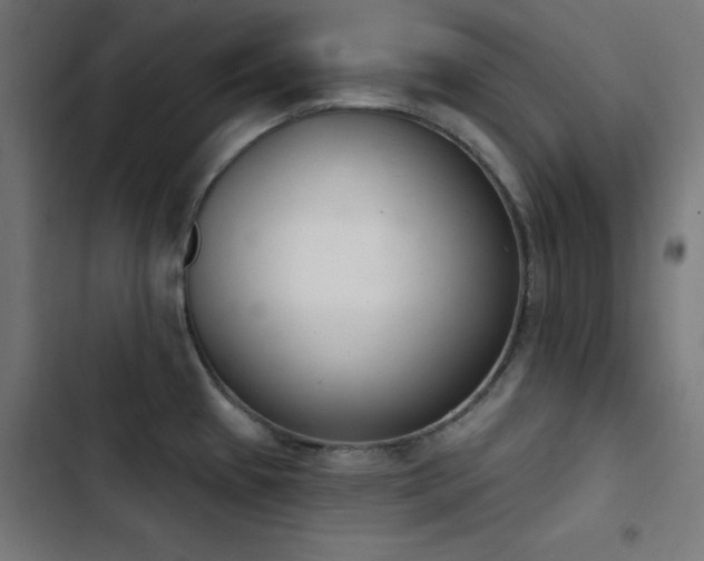 X0000103401433200809121232