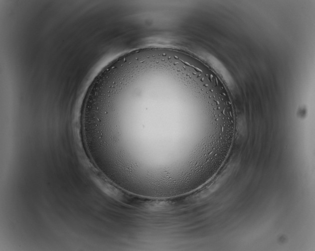 X0000103401435200809121232