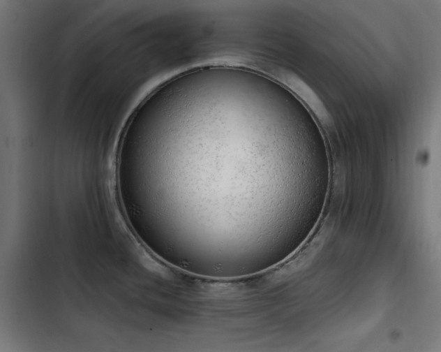 X0000103401436200809121232