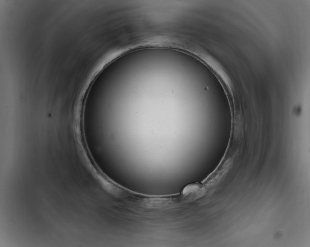 X0000103401437200809121232