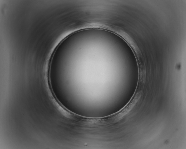 X0000103401438200809121232