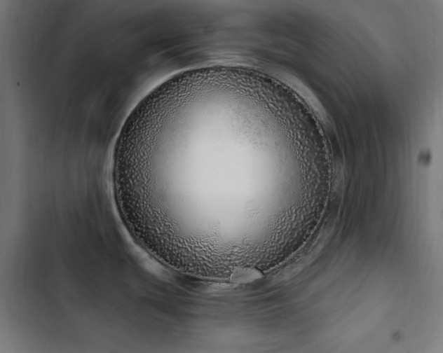 X0000103401439200809121232