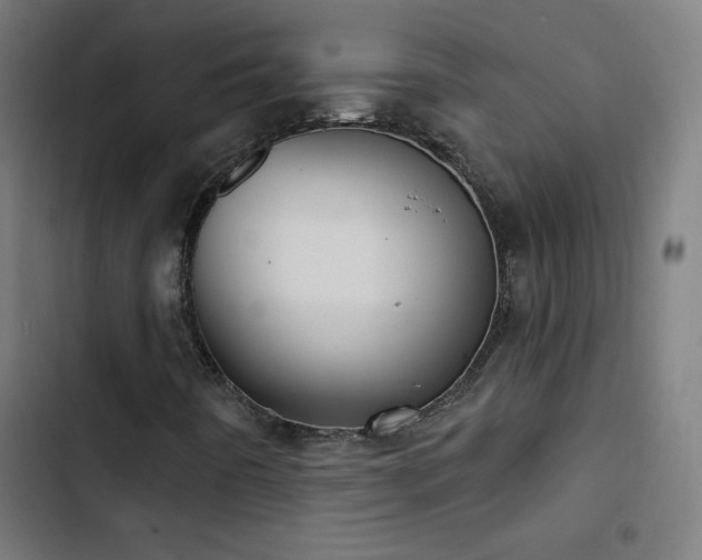 X0000103401442200809121231