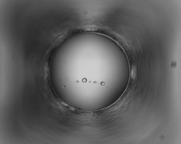 X0000103401444200809121231