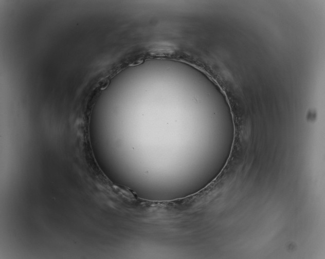 X0000103401445200809121231