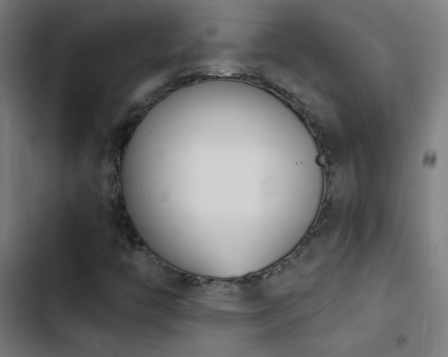 X0000103401446200809121231