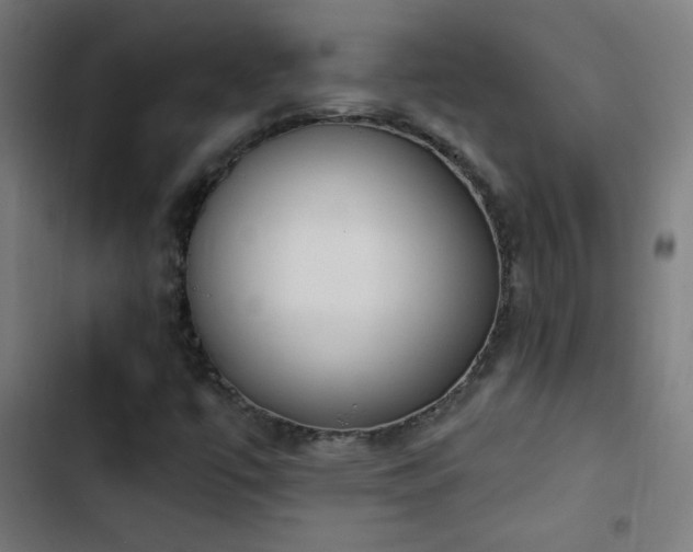 X0000103401447200809121231