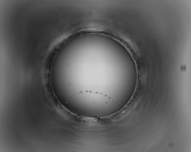 X0000103401448200809121231