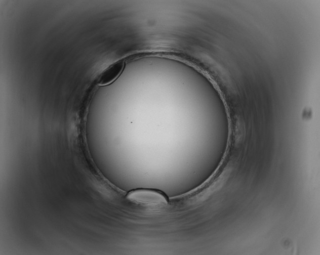 X0000103401449200809121231