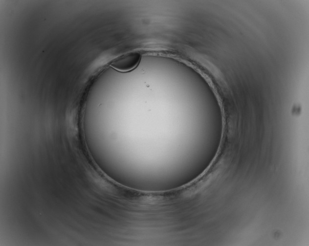 X0000103401451200809121231