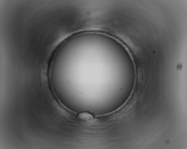X0000103401452200809121231