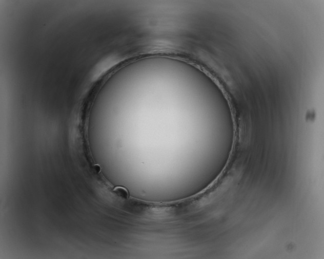 X0000103401453200809121231