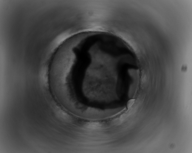 X0000103401455200809121231