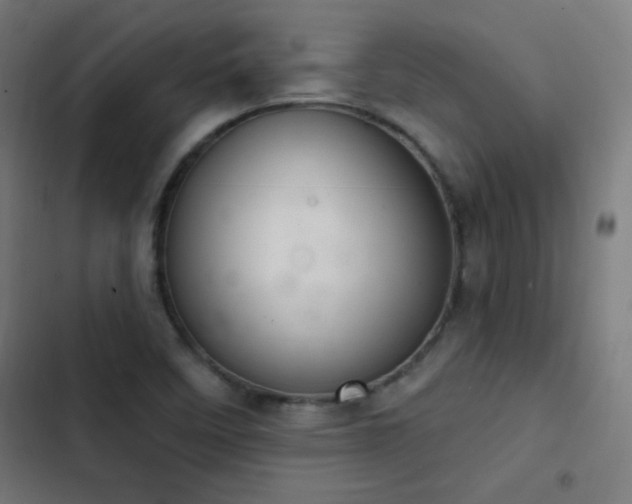 X0000103401458200809121231